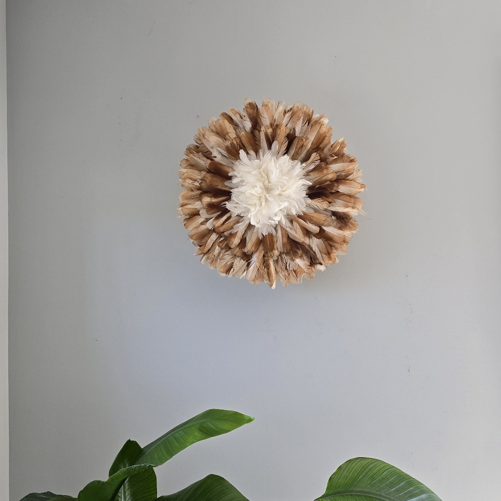 Jujuhat Brown and White Feather Wall Decor 14 Inches